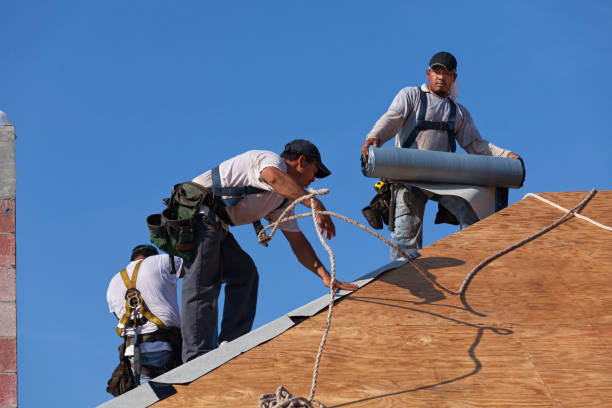 Roof Waterproofing Services in Lexington, TX