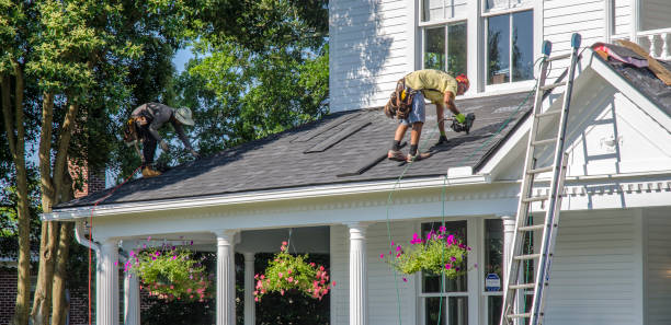 Best Metal Roofing Contractor  in Lexington, TX